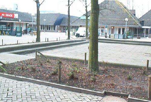 mini-IM000271.jpg