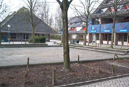 mini-IM000273.jpg