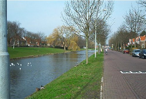 mini-IM000277.jpg