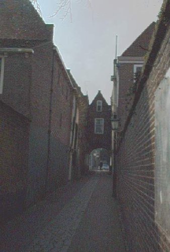 mini-IM000283.jpg