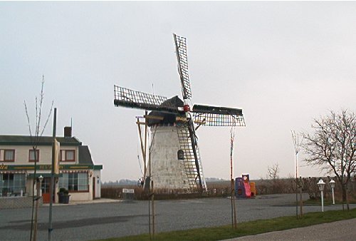 mini-IM000297.jpg