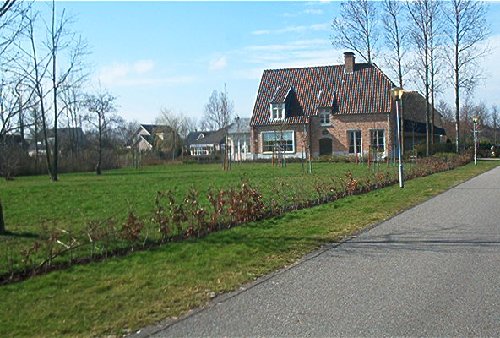 mini-IM000348.jpg