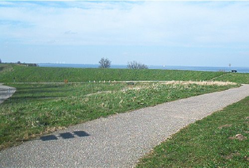 mini-IM000356.jpg