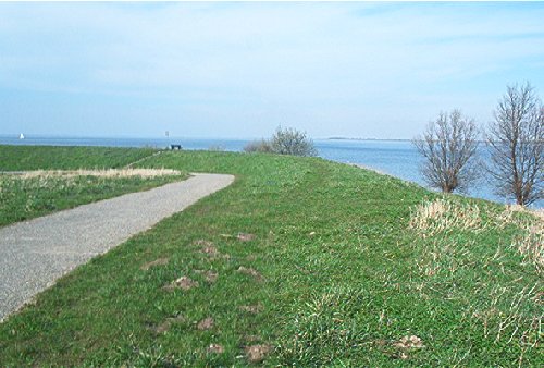 mini-IM000357.jpg