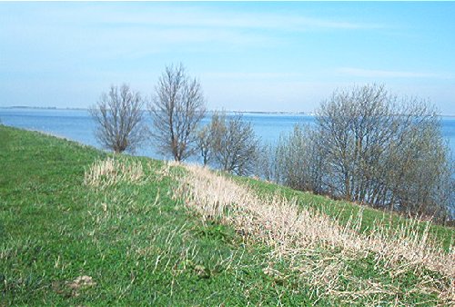 mini-IM000358.jpg