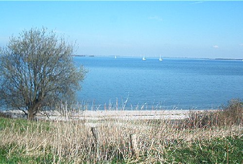 mini-IM000360.jpg