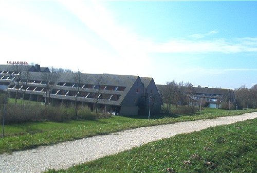 mini-IM000371.jpg