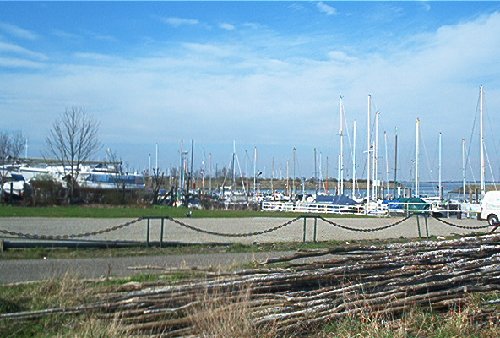 mini-IM000379.jpg