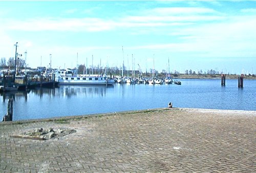 mini-IM000381.jpg