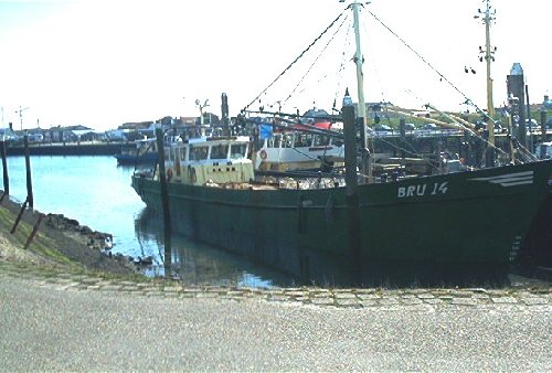 mini-IM000393.jpg