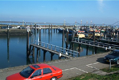 mini-IM000396.jpg