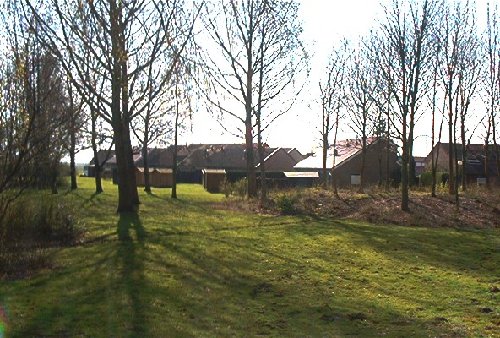 mini-IM000407.jpg