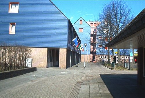 mini-IM000410.jpg
