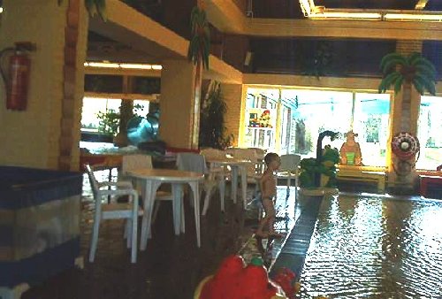 mini-IM000415.jpg