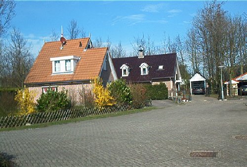 mini-IM000427.jpg