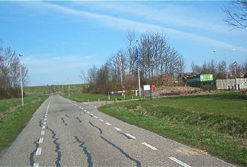 mini-IM000431.jpg