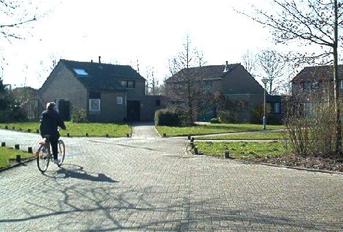 mini-IM000450.jpg
