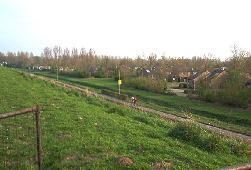 mini-IM000564.jpg