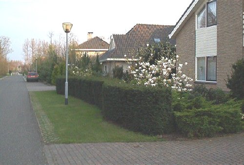 mini-IM000578.jpg