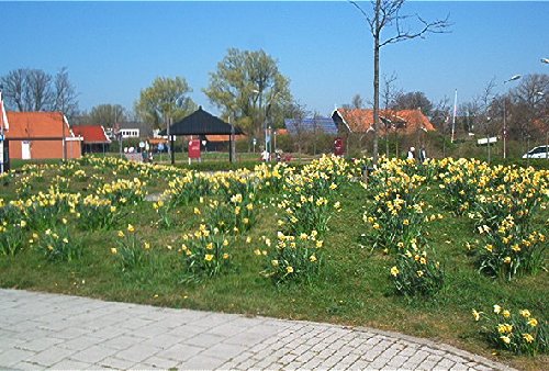 mini-IM000620.jpg