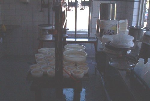 mini-IM000638.jpg