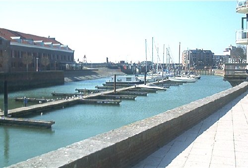 mini-IM000662.jpg