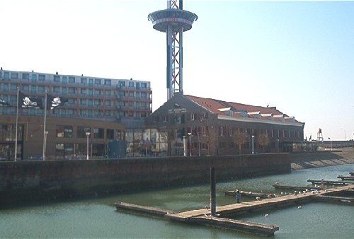 mini-IM000663.jpg