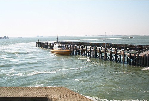 mini-IM000666.jpg