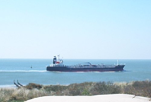 mini-IM000673.jpg