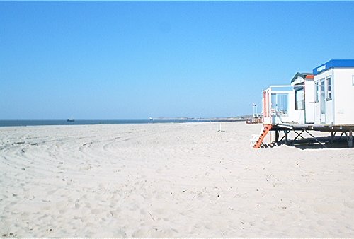 mini-IM000675.jpg
